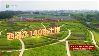 福清：奋楫争先逐浪高 凝心筑梦“最福清”