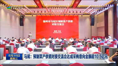 马尾：整合区域产业资源 推动民营经济高质量发展