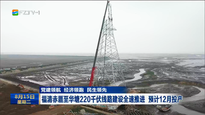 党建领航 经济领跑 民生领先 福清赤厝至华塘220千伏线路建设全速推进 预计12月投产