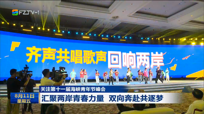 关注第十一届海峡青年节峰会 汇聚两岸青春力量 双向奔赴共逐梦