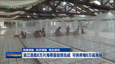 党建领航 经济领跑 民生领先 连江首批6万片海带苗培育完成 可供养殖6万亩海域