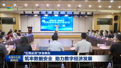 “五凤论见”沙龙举办 筑牢数据安全 助力数字经济发展