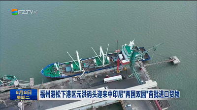 福州港松下港区元洪码头迎来中印尼“两国双园”首批进口货物