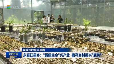 实施乡村振兴战略 永泰红星乡：“借绿生金”兴产业  擦亮乡村振兴“底色”