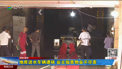 我为群众办实事丨地库进水车辆遭殃 业主指责物业不尽责