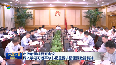 市政府党组召开会议 深入学习习近平总书记重要讲话重要致辞精神