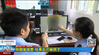 陪朋友报警 结果自己被抓了