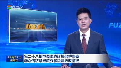 第二十八批中央生态环境保护督察群众信访举报转办和边督边改情况