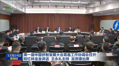 第一届中国侨智发展大会筹备工作协调会召开 程红林宝金讲话 王永礼主持 吴贤德出席
