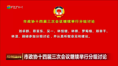 市政协十四届三次会议继续举行分组讨论