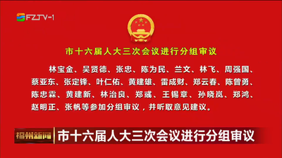 市十六届人大三次会议进行分组审议