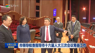 市领导检查指导市十六届人大三次会议筹备工作