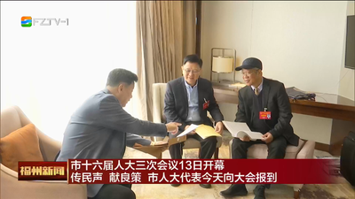 市十六届人大三次会议13日开幕 传民声 献良策 市人大代表今天向大会报到