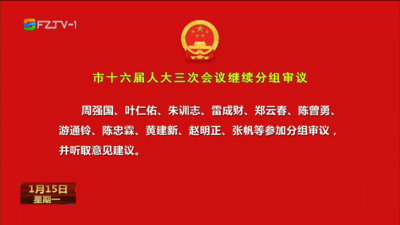 市十六届人大三次会议继续分组审议