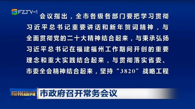市政府召开常务会议