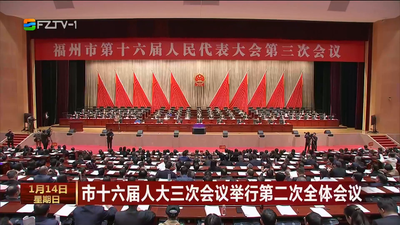 市十六届人大三次会议举行第二次全体会议