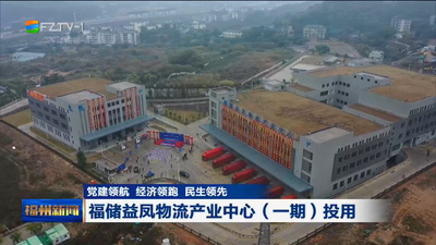 党建领航 经济领跑 民生领先 福储益凤物流产业中心（一期）投用