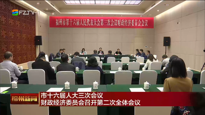 市十六届人大三次会议财政经济委员会召开第二次全体会议