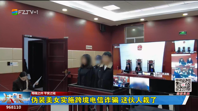 伪装美女实施跨境电信诈骗 这伙人栽了