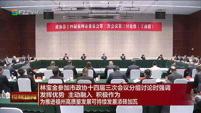 林宝金参加市政协十四届三次会议分组讨论时强调 发挥优势 主动融入 积极作为 为推进福州高质量发展可持续发展添砖加瓦
