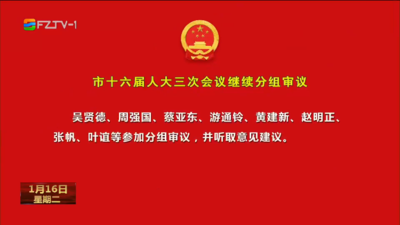 市十六届人大三次会议继续分组审议