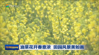油菜花开春意浓 田园风景美如画