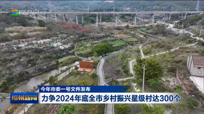 今年市委一号文件发布 力争2024年底全市乡村振兴星级村达300个