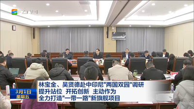 林宝金、吴贤德赴中印尼“两国双园”调研 提升站位 开拓创新 主动作为 全力打造“一带一路”新旗舰项目