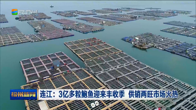 连江：3亿多粒鲍鱼迎来丰收季 供销两旺市场火热