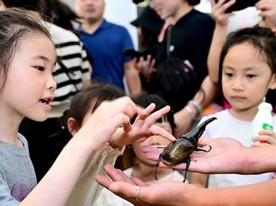 福州动物园昆虫馆开放 展示世界各地上千种昆虫标本