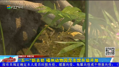 “五一”新去处 福州动物园昆虫馆升级开放！