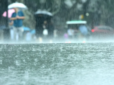 台风“马力斯”登陆广东 福州周末降雨降温