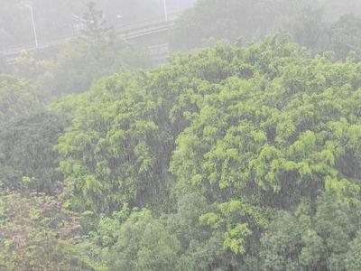 特大暴雨！今夜起台风“格美”将严重影响福州！