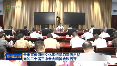 全市宣传思想文化系统学习宣传贯彻党的二十届三中全会精神会议召开