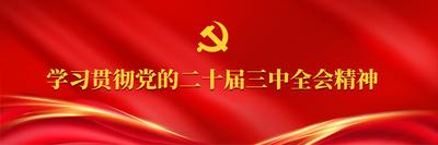 学习贯彻党的二十届三中全会精神
