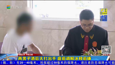 两男子酒后大打出手 庭前调解冰释前嫌