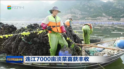 连江7000亩淡菜喜获丰收