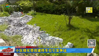 我为群众办实事丨小区绿化带改建停车位引发争议