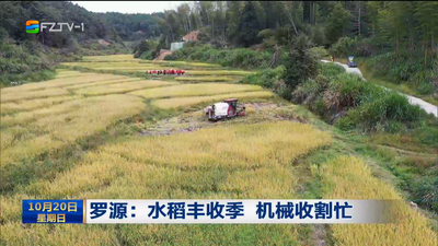 罗源：水稻丰收季 机械收割忙 