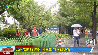 风雨吹断行道树 园林部门立即处置