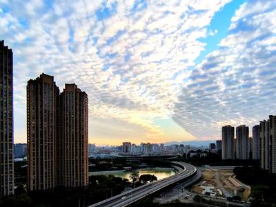 今天，一起学习交通安全知识