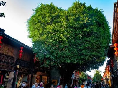 2025福建省米其林指南发布 福州21家餐厅上榜