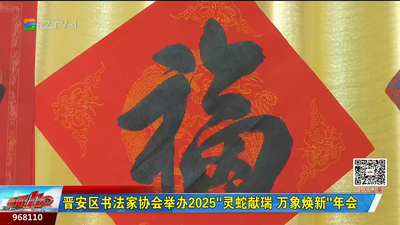 晋安区书法家协会举办2025“灵蛇献瑞 万象焕新”年会