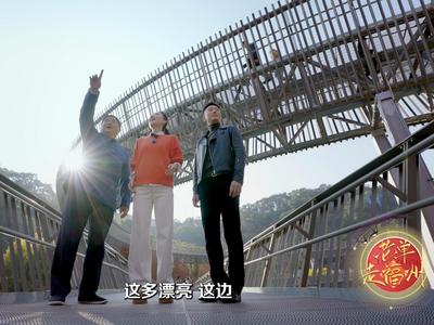 漫步城市森林“福道”，领略人与自然和谐共生的美景！