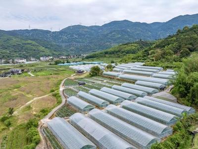 闽侯种业产业园拟下月投入生产