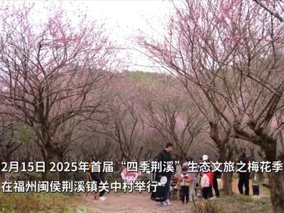 新华社关注福州：梅花怒放春意浓