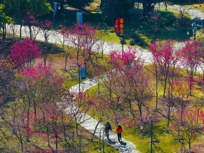 2月福州公园赏花地图发布