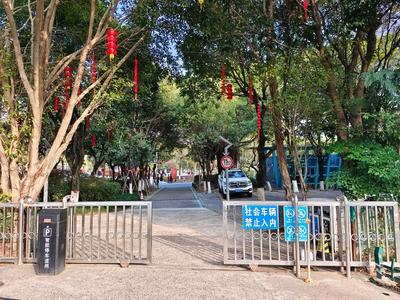 “退役”年花年桔别乱扔 送来儿童公园兑换游乐劵吧