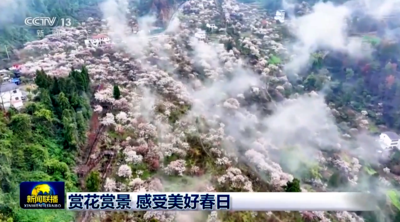 央视《新闻联播》聚焦福州：赏花赏景 感受美好春日