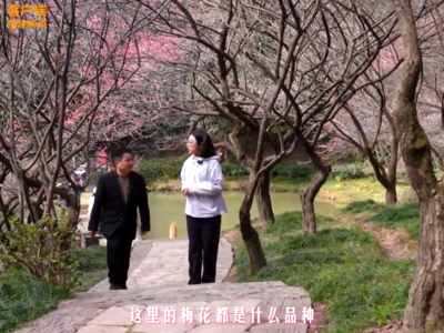 人民日报关注：海拔不到千米，却敢称“闽山第一”，福州这座山凭些啥？